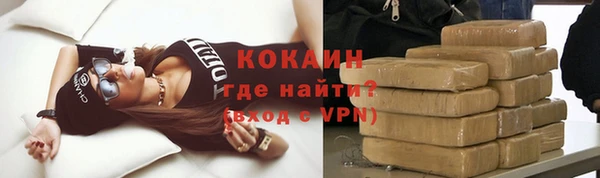 a pvp Бородино