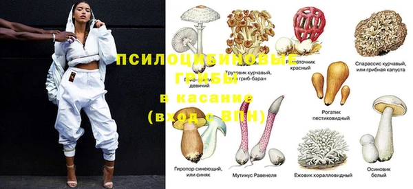 трава Верхнеуральск
